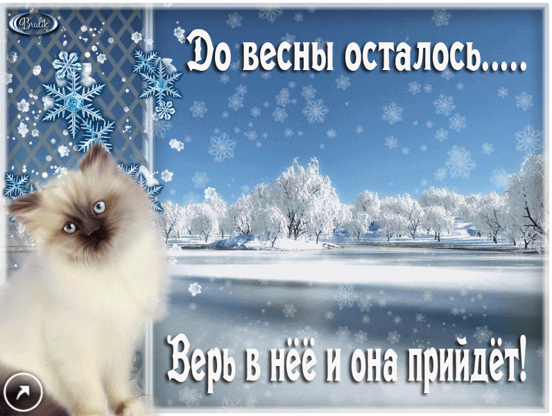 Красивые картинки Доброе утро февраля. Прикольные картинки Доброе утро февраля