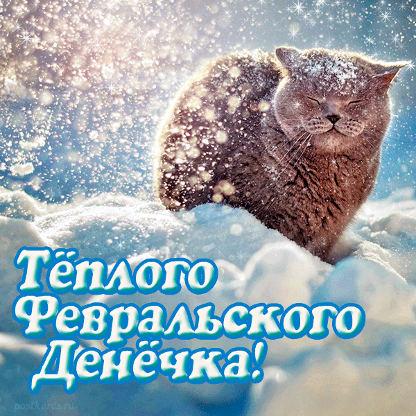 Красивые картинки Доброе утро февраля. Прикольные картинки Доброе утро февраля
