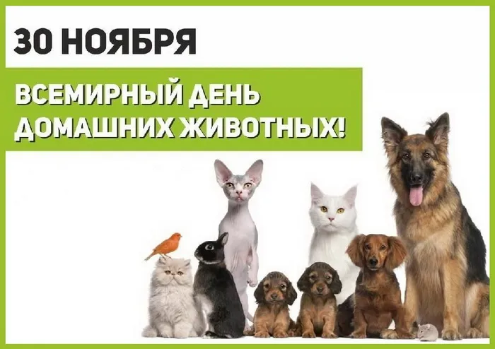 Картинки и открытки с Днем домашних животных. Красивые открытки с Днём домашних животных