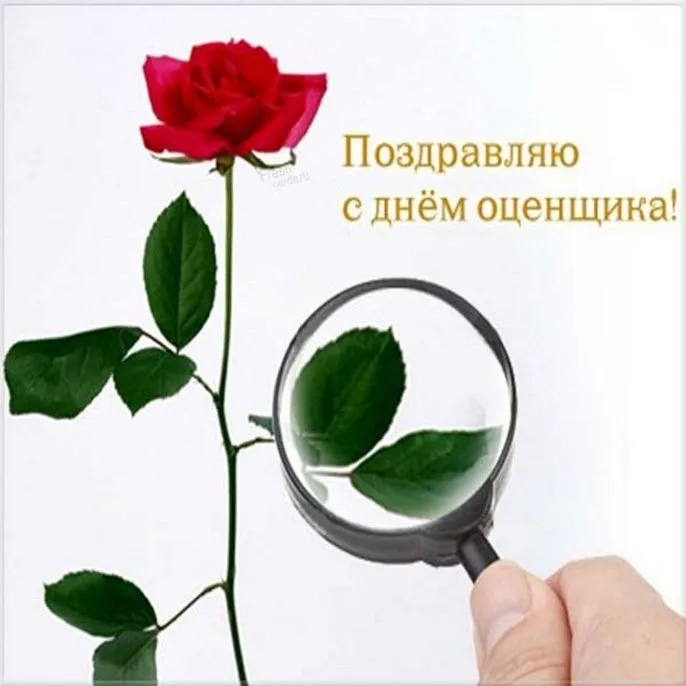 Картинки и открытки с Днем оценщика. Красивые открытки с Днем оценщика