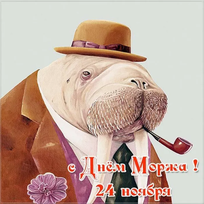 Картинки и открытки с Днем моржа. Прикольные картинки с Днём моржа