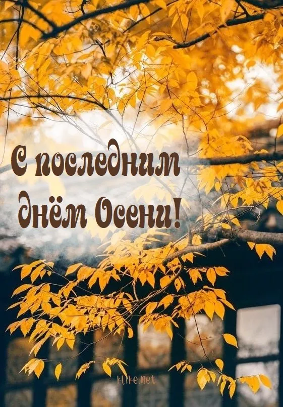 Картинки с последним днем осени. Картинки " С последним днем осени" 2024