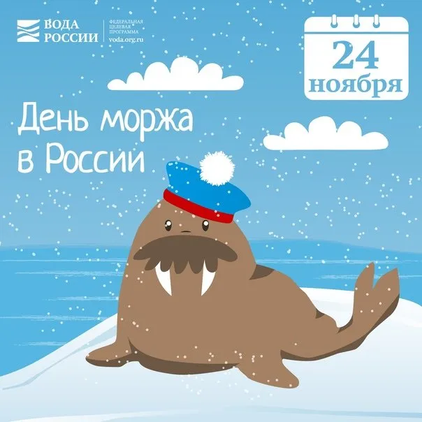 Картинки и открытки с Днем моржа. Красивые открытки на День моржа