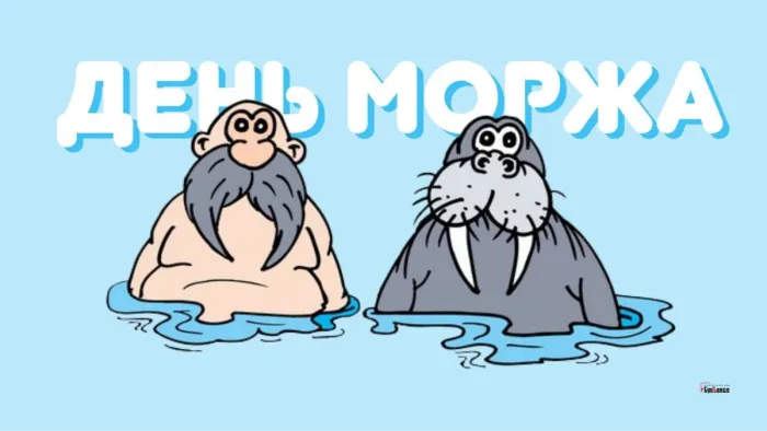 Картинки и открытки с Днем моржа. Прикольные картинки с Днём моржа