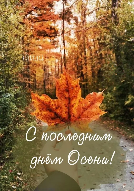 Картинки с последним днем осени. Картинки " С последним днем осени" 2024