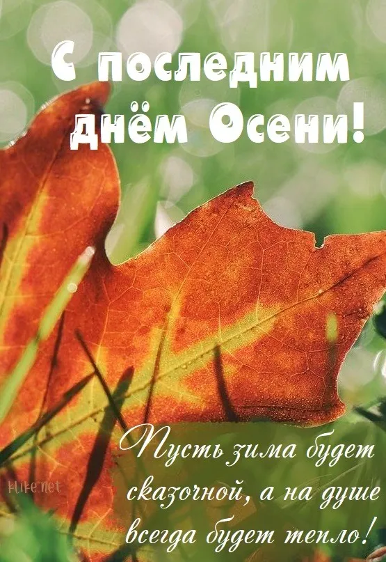 Картинки с последним днем осени. Картинки " С последним днем осени" 2024