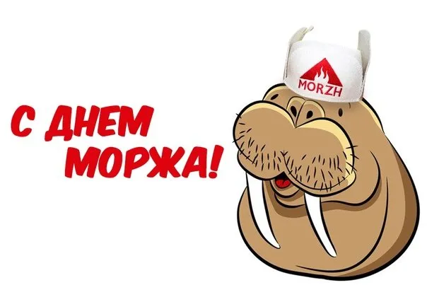 Картинки и открытки с Днем моржа. Прикольные картинки с Днём моржа