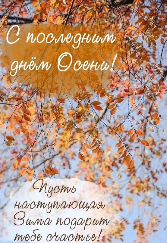 Картинки с последним днем осени. Картинки " С последним днем осени" 2024