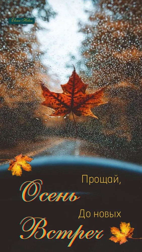 Картинки с последним днем осени. Картинки " С последним днем осени" 2024