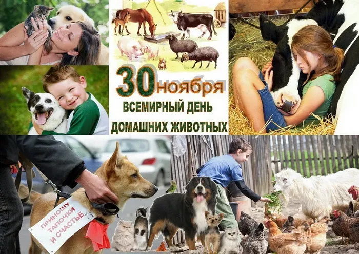Картинки и открытки с Днем домашних животных. Красивые открытки с Днём домашних животных