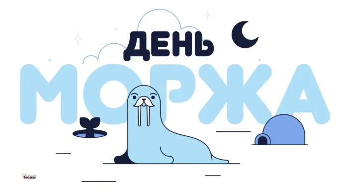 Картинки и открытки с Днем моржа. День моржа - картинки с надписями