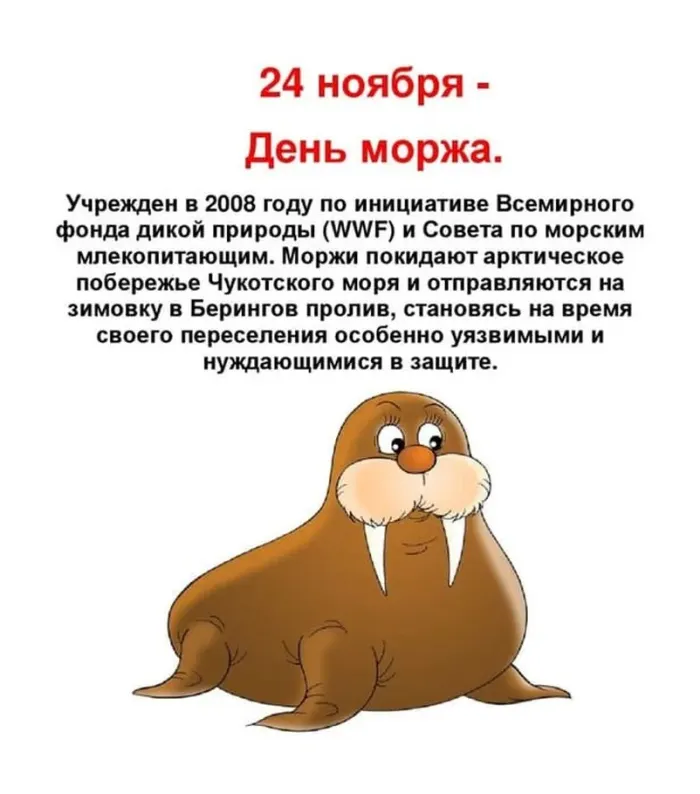Картинки и открытки с Днем моржа. День моржа - картинки с надписями