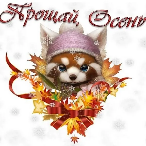 Картинки с последним днем осени. Красивые картинки "С последним днём осени"