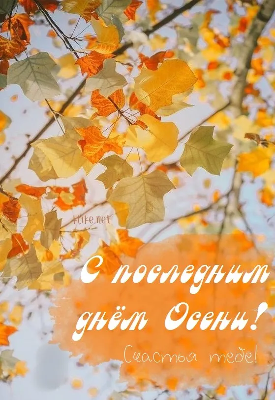 Картинки с последним днем осени. Картинки " С последним днем осени" 2024