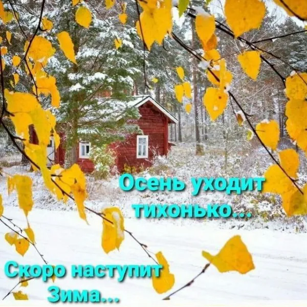 Картинки с последним днем осени. Красивые картинки "С последним днём осени"