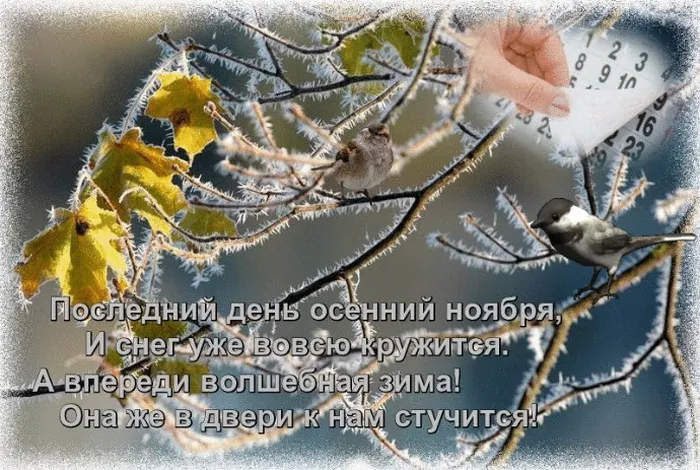 Картинки с последним днем осени. Красивые картинки "С последним днём осени"