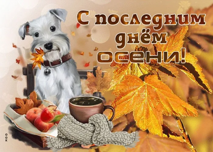 Картинки с последним днем осени. Картинки " С последним днем осени" 2024