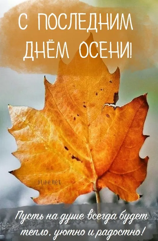 Картинки с последним днем осени. Картинки " С последним днем осени" 2024