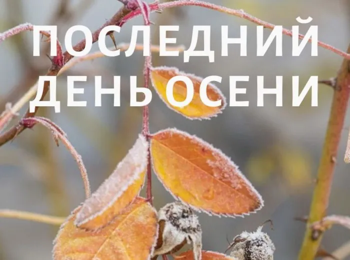 Картинки с последним днем осени. Красивые картинки "С последним днём осени"