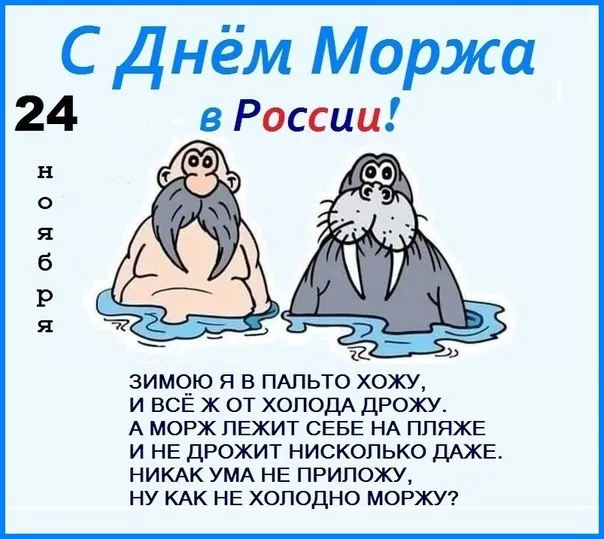 Картинки и открытки с Днем моржа. Красивые открытки на День моржа