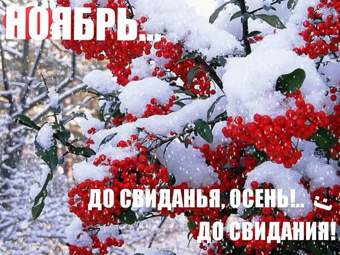 Картинки с последним днем осени. Картинки " С последним днем осени" 2024