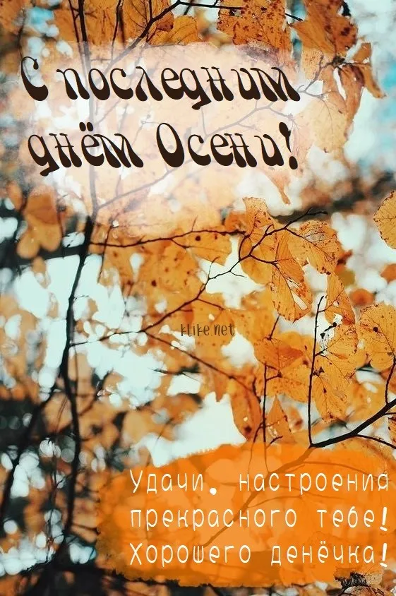 Картинки с последним днем осени. Картинки " С последним днем осени" 2024