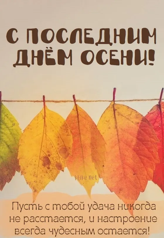 Картинки с последним днем осени. Картинки " С последним днем осени" 2024