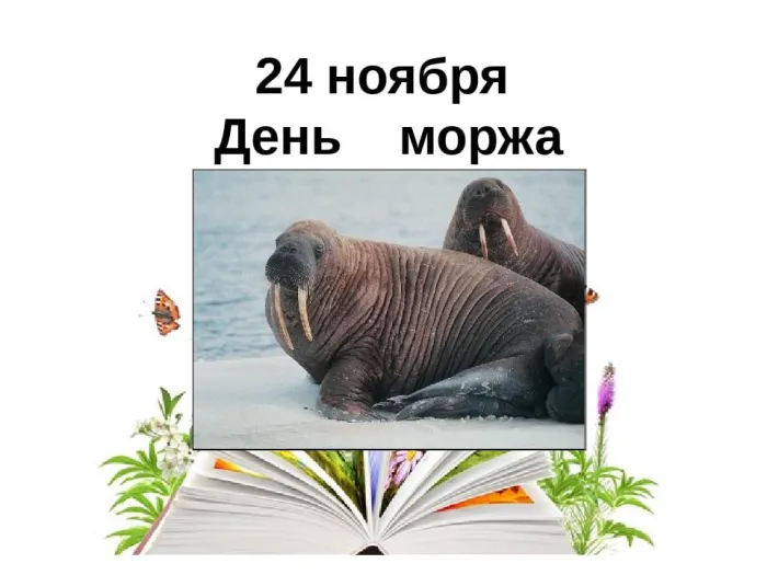 Картинки и открытки с Днем моржа. День моржа - картинки с надписями
