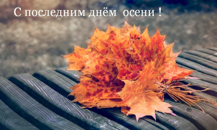 Картинки с последним днем осени. Красивые картинки "С последним днём осени"