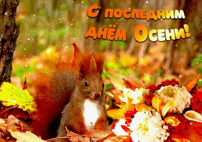 Картинки с последним днем осени. Красивые картинки "С последним днём осени"