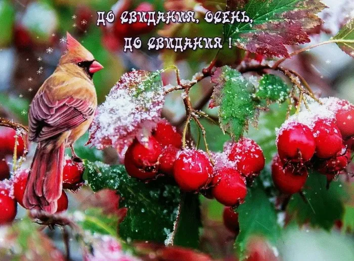 Картинки с последним днем осени. Красивые картинки "С последним днём осени"