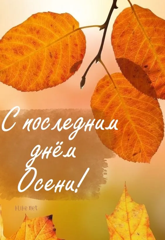 Картинки с последним днем осени. Картинки " С последним днем осени" 2024