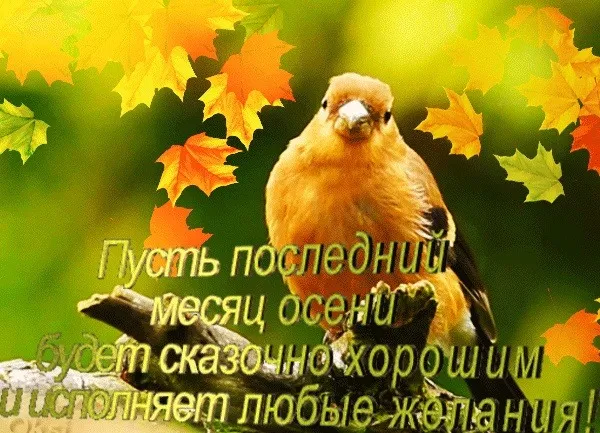 Картинки с последним днем осени. Картинки " С последним днем осени" 2024