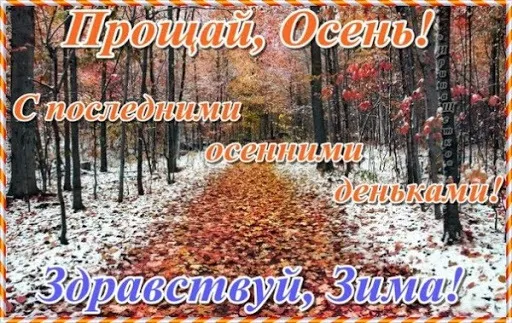 Картинки с последним днем осени. Картинки " С последним днем осени" 2024