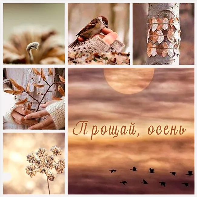 Картинки с последним днем осени. Картинки " С последним днем осени" 2024