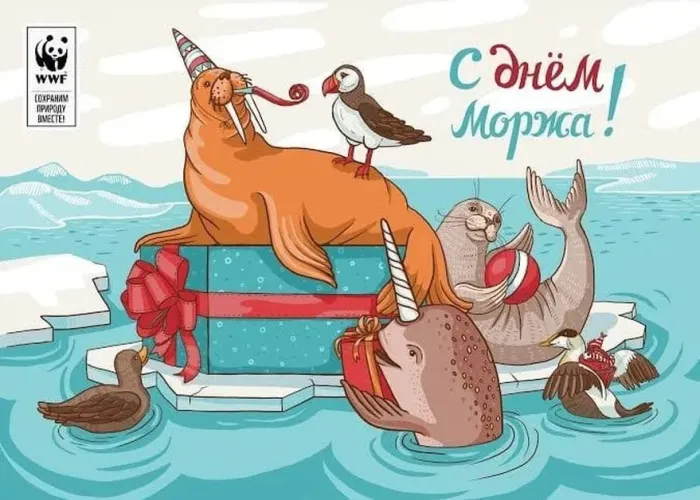 Картинки и открытки с Днем моржа. Красивые открытки на День моржа