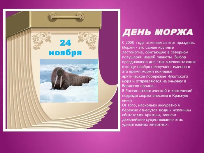 Картинки и открытки с Днем моржа. День моржа - картинки с надписями