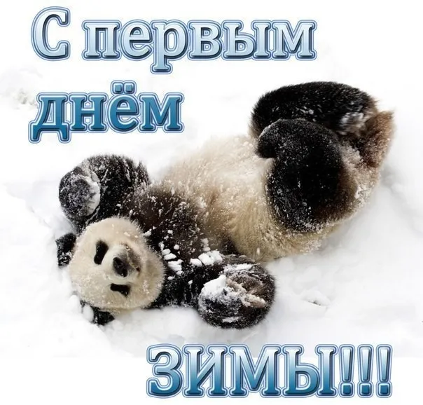 Картинки и открытки с первым днем зимы. Красивые открытки с первым днём зимы