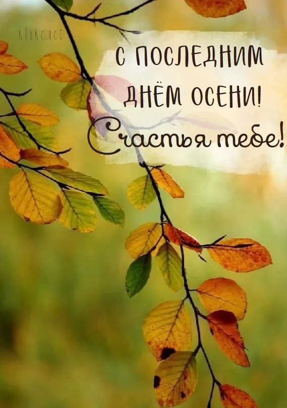 Картинки с последним днем осени. Картинки " С последним днем осени" 2024