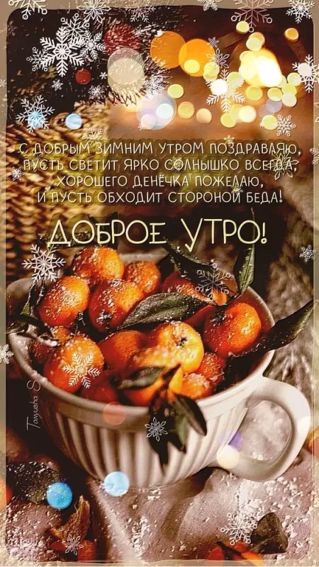 Картинки с Днем мандаринов 15 декабря. Красивые картинки "Доброе утро" с мандаринами