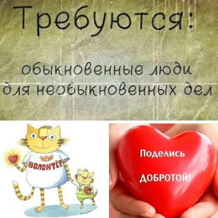 Картинки и открытки с Днем добровольца (волонтера). Красивые открытки с Днём добровольца (волонтера) в России