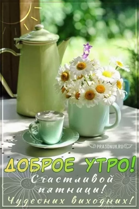 Картинки "Доброе утро пятницы" красивые и прикольные. Красивые картинки "Доброго утра пятницы" 