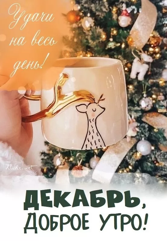 Картинки "Доброе утро декабря". Картинки Доброе утро декабря с пожеланиями