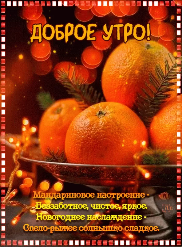 Картинки с Днем мандаринов 15 декабря. Красивые картинки "Доброе утро" с мандаринами