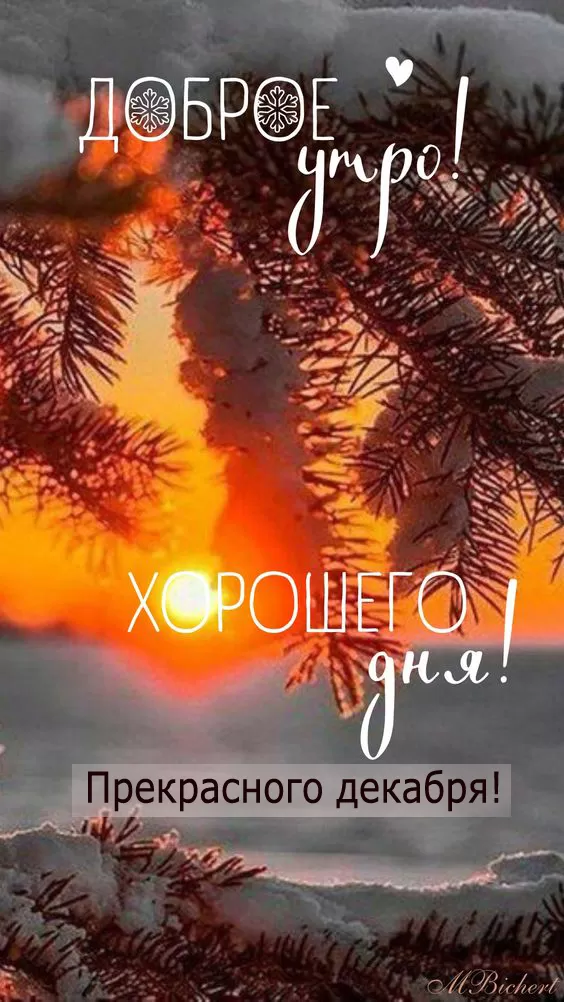 Картинки "Доброе утро декабря"