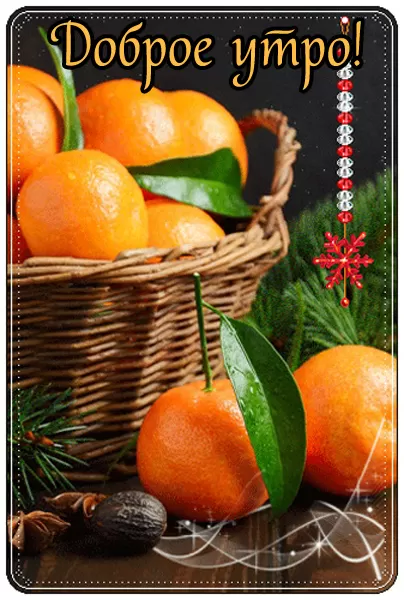 Картинки с Днем мандаринов 15 декабря. Красивые картинки "Доброе утро" с мандаринами