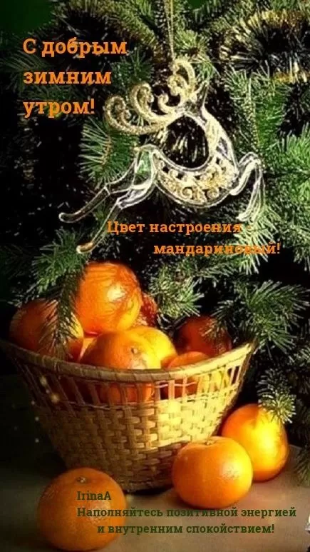 Картинки с Днем мандаринов 15 декабря. Красивые картинки "Доброе утро" с мандаринами