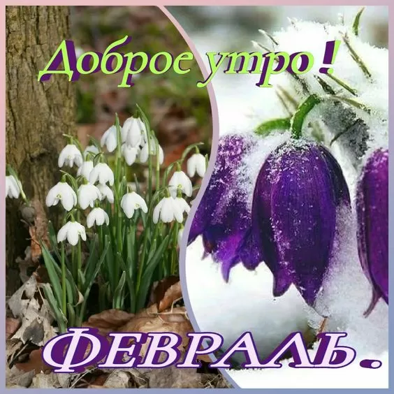 Картинки Доброго утра февраля.