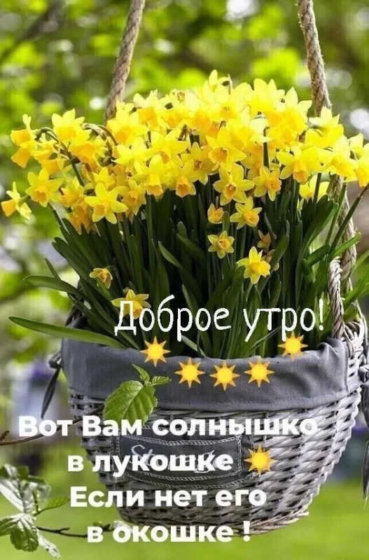 Красивые картинки с Добрым весенним утром. Красивые картинки с Добрым весенним утром 