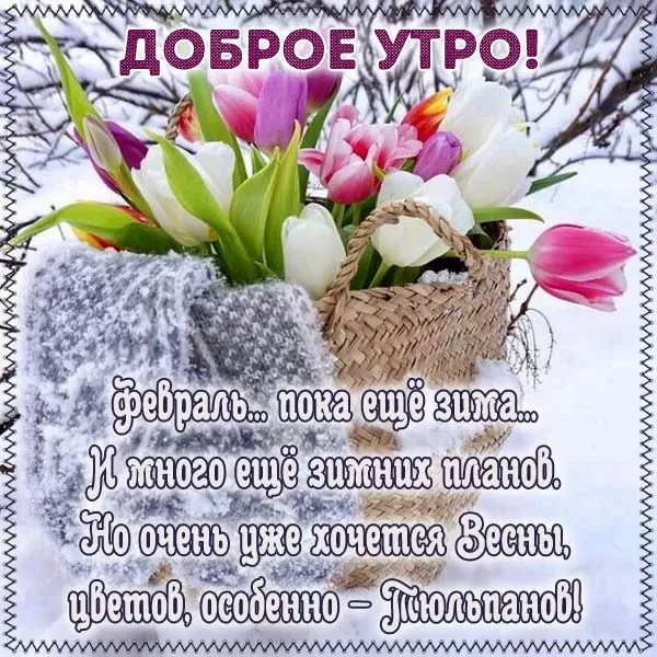 Картинки Доброго утра февраля.